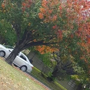 Meet your Posher, Dagmawit